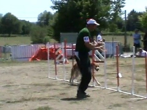 Cayenne GPF Moulins 2011