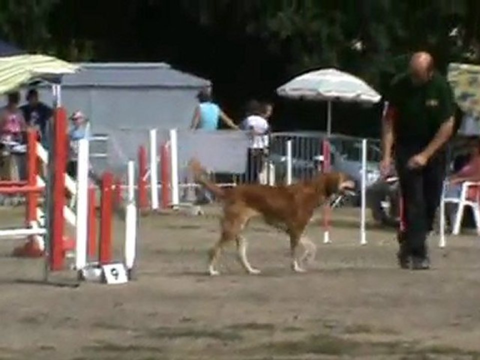 Cayenne jumping Moulins 2011