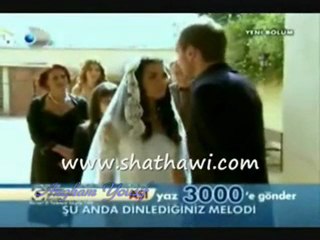 علم قلبي الغرام **** عمرو دياب