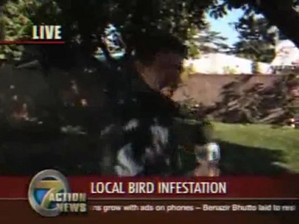 Vogel 1 - 0 Reporter Fail