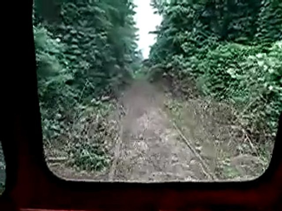 Die Zugfahrt in grüne..