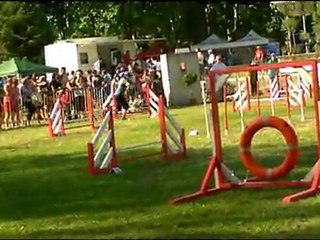 finale Eyragues 2 et 3 juillet 2011  Laurence et crunch