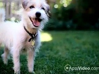 Sage Creek Apartments in Simi Valley, CA - ForRent.com