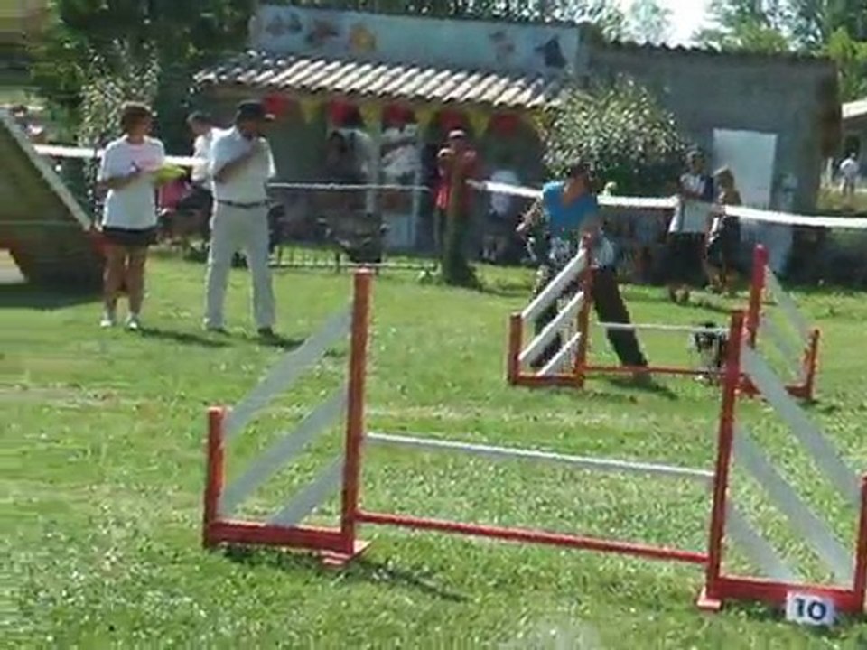 Dawa agility 1 Finale Eyrages 2011