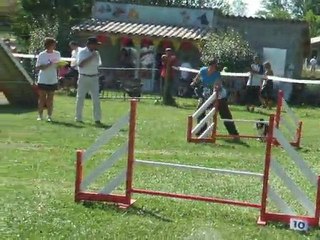 Dawa agility 1 Finale Eyrages 2011