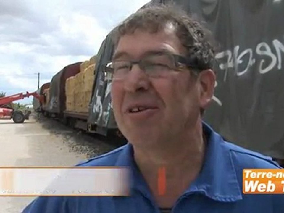 Opérations solidarité paille - Le choix du fret ferroviaire complique l’acheminement de la paille dans les élevages