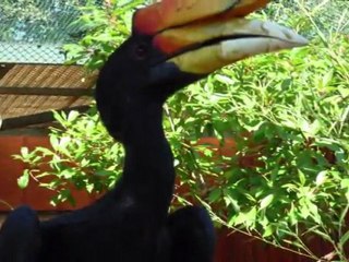 2011_06 - Jardin zoologique La Londe