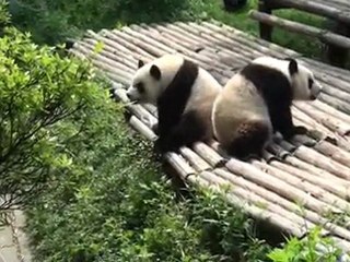 14/06/11 - Chengdu