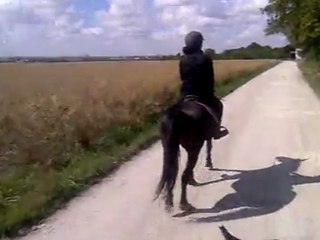 kiki au pas en balade