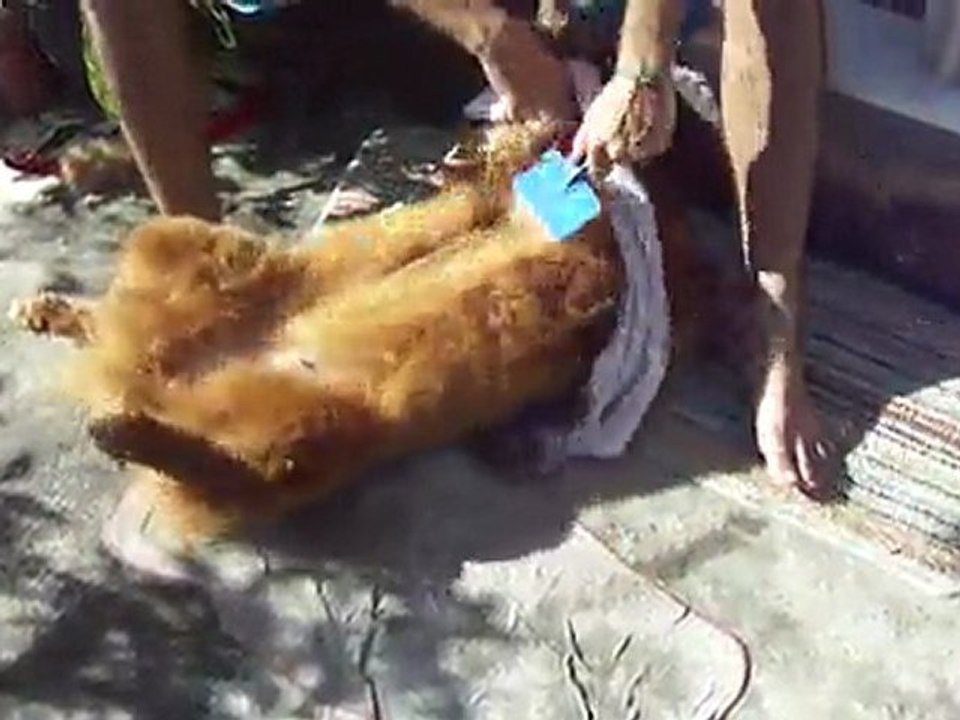 Enxugando Jade!!!