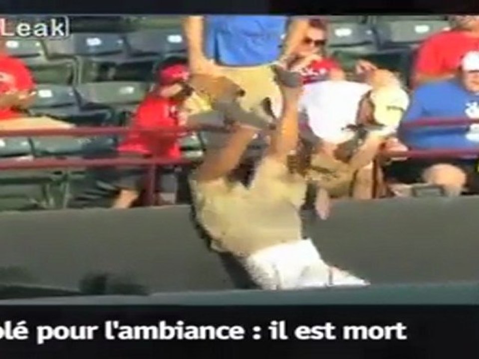 Il meurt en voulant rattraper une balle de base-ball