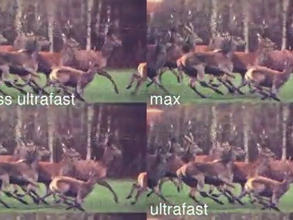 max_crf15_montage