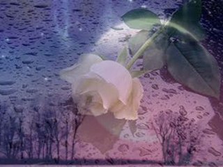 Arif Nazım - Şiir güzelliğinde