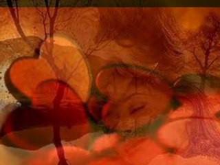 Barim - Nar Tanesi S€Zi