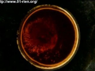 naissance mecanique/metaphysique