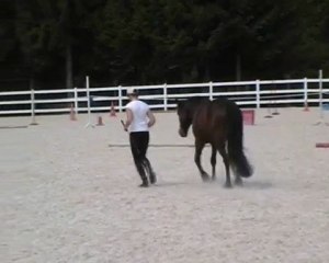 Séance travail à pied