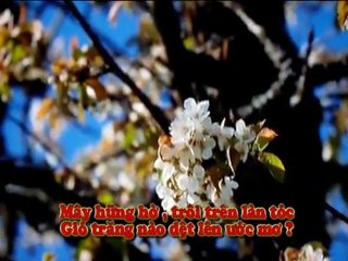 LUYẾN TIẾC - Nhạc và lời: Vũ Thái Hòa - Tiếng hát: Thanh Lan