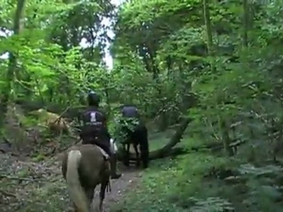 Ballade Algrange