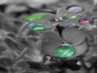 Sadrettin Özçimi-9/2