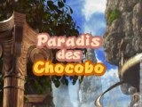 Final Fantasy IX 54) Le Paradis Des Chocobo