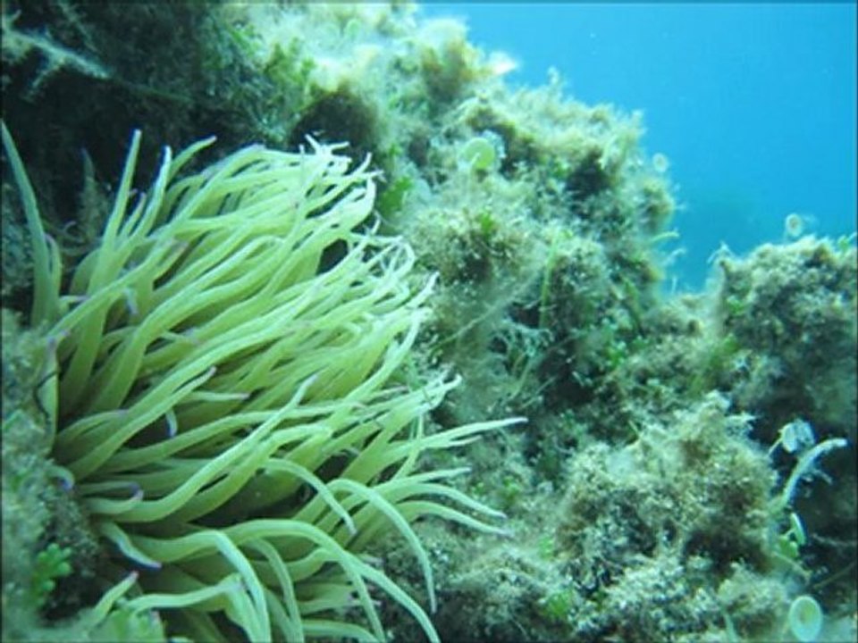 Baptème de mon filleul, Simeo, 8 ans, le 8 juillet 2011