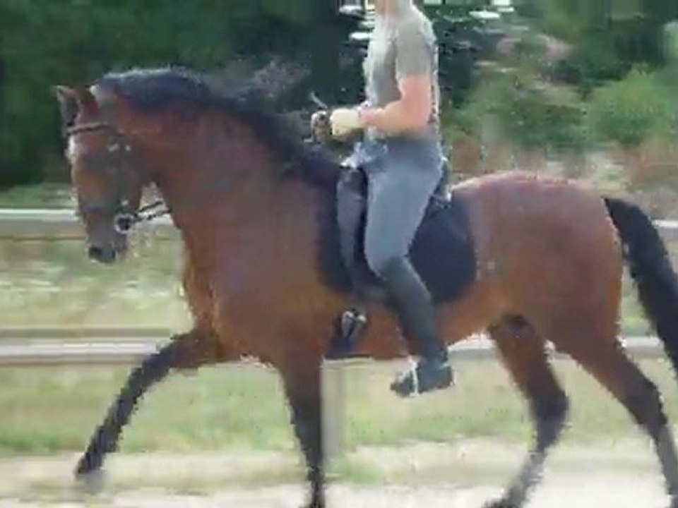 PRIMERO PRE ENTIER à 8 ANS