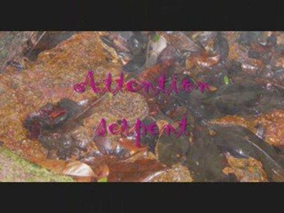 L'enfer du molokoi...