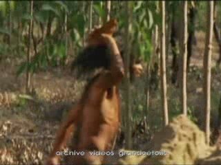 1x7 l'homme des origines