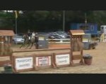 Sport Ponies Stable- VENDU