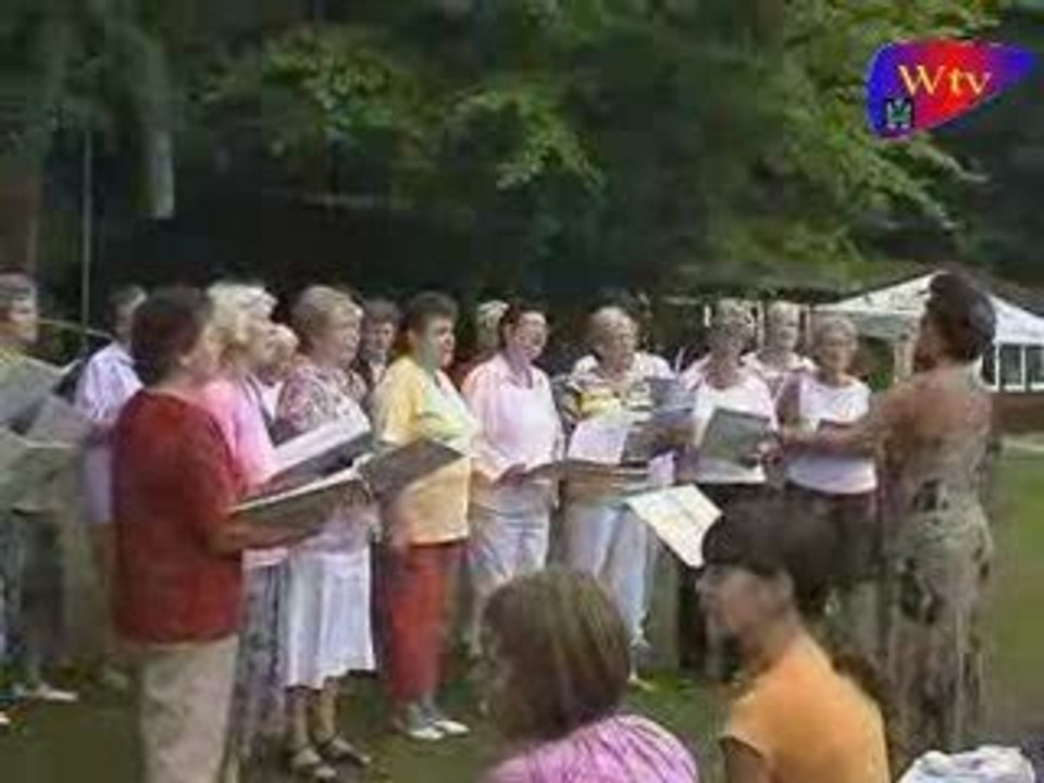 Dorffest in Benzingerode 8.August 2009