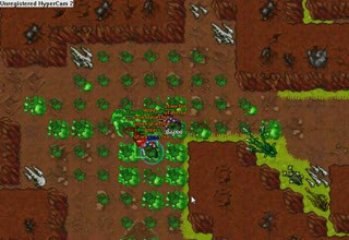 Lubie Bigos Bot'uje na BOG raiderach