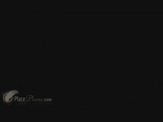 Terres du Son 2009 de jour Festival Mont