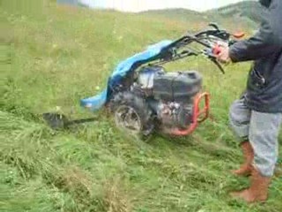 BİÇER İLE OT BİÇME GÖRÜNTÜSÜ