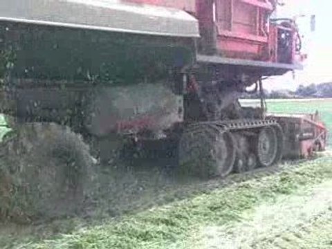 récolte pois sb10000