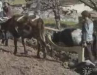 (old) _svaneti _ georgia