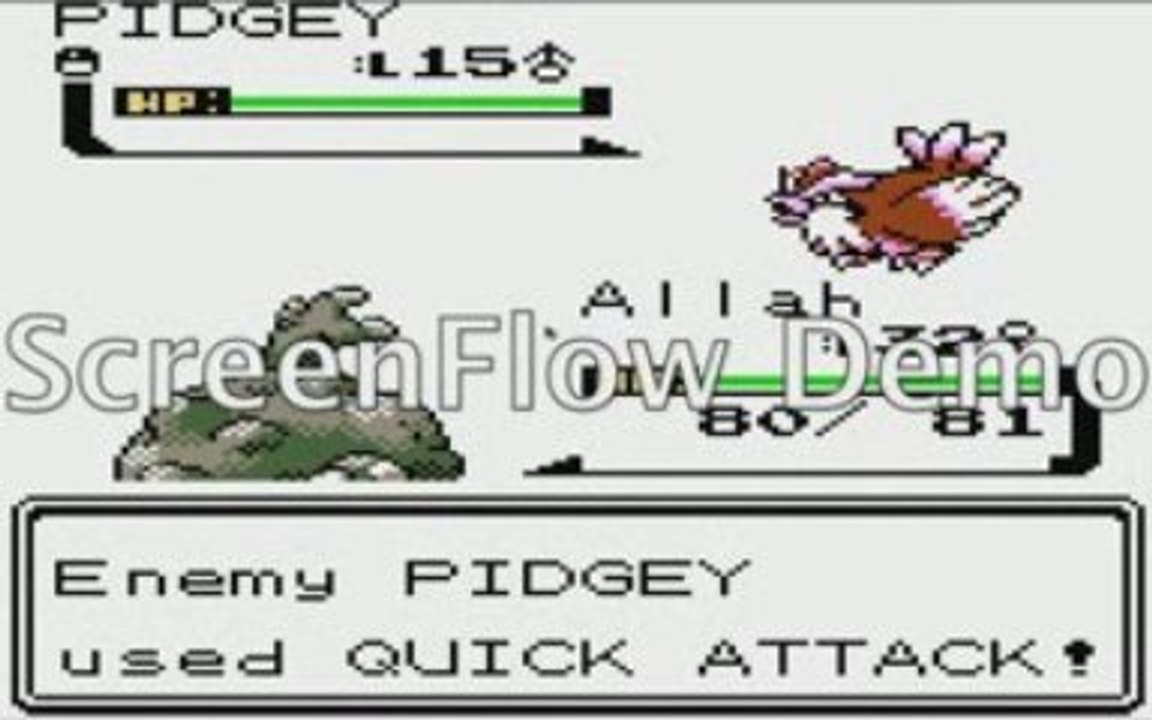 Pokemon Allah