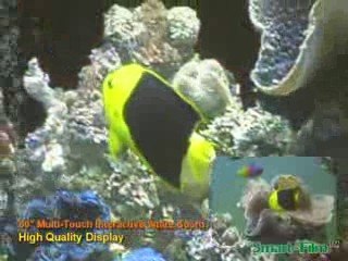 Smart Film Interactive Showcase