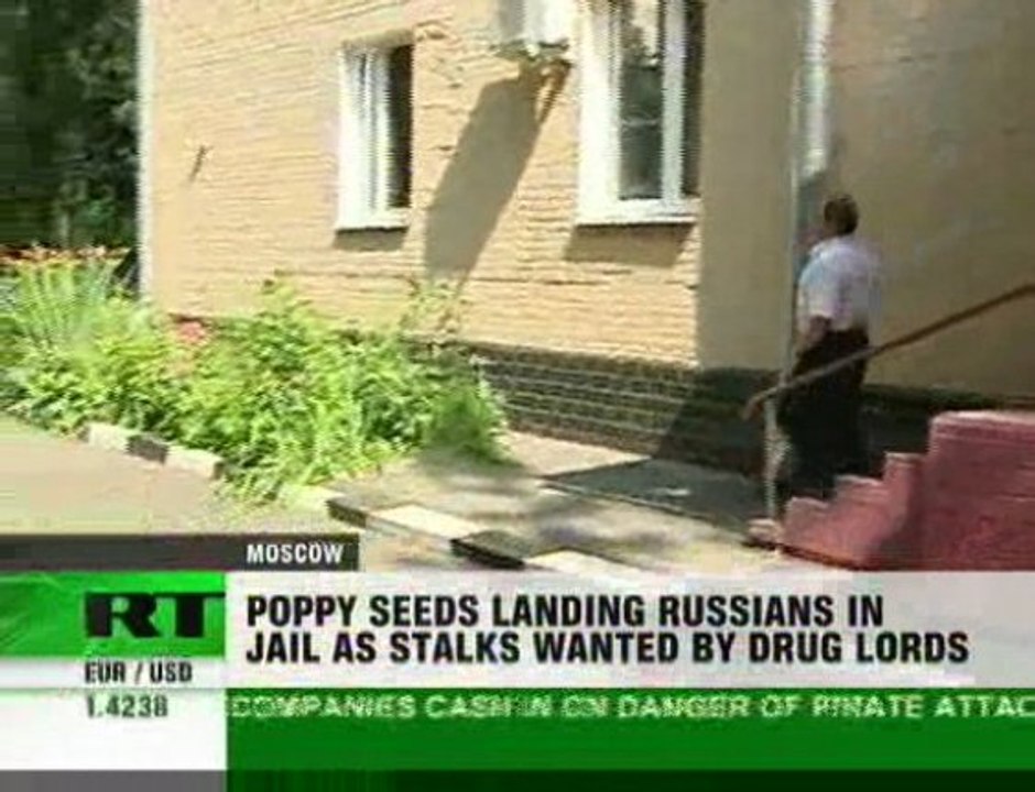 Poppy retailers – drug barons?