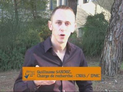 Métiers de la science au CNRS et dans ses UMR - G. Sandoz