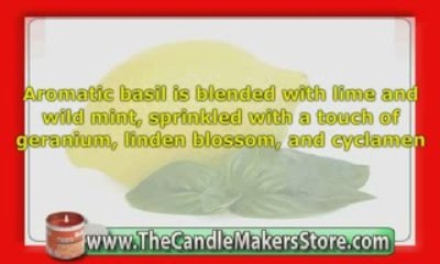 Candle Scents: Cool Citrus Basil