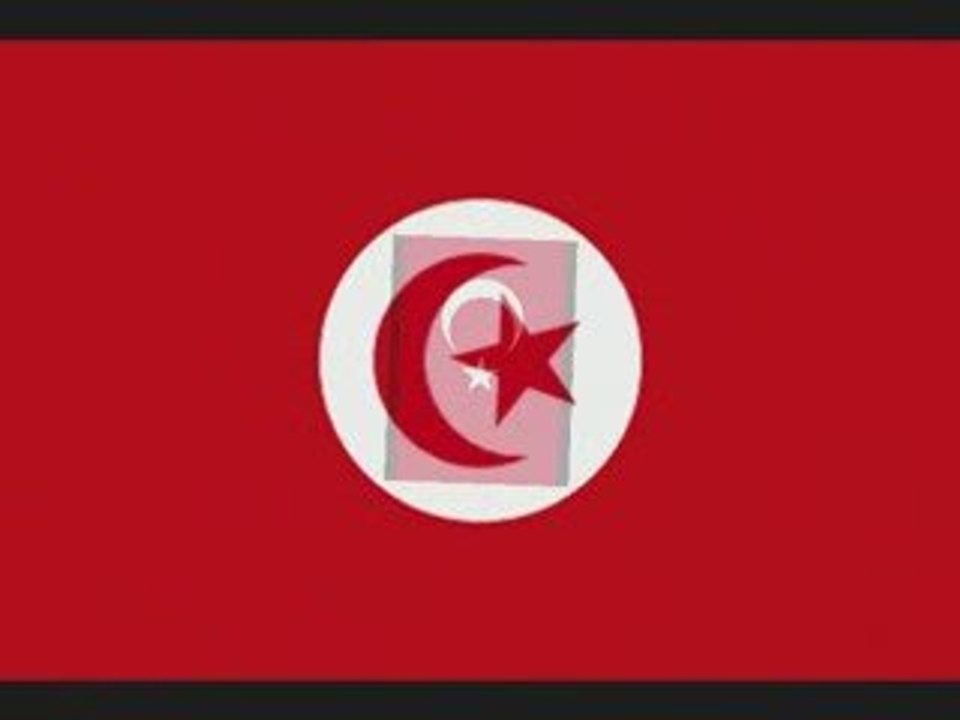 Resistant palestine_Larsen