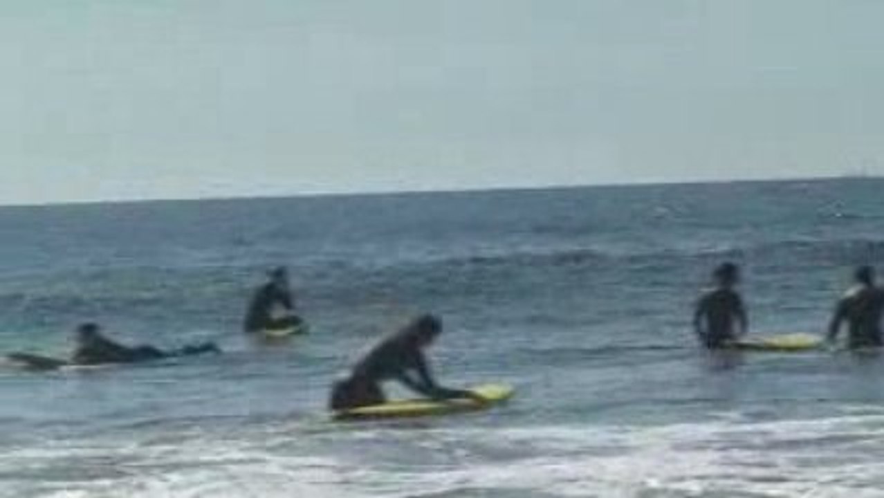 Surf and Spanish courses Bilbao