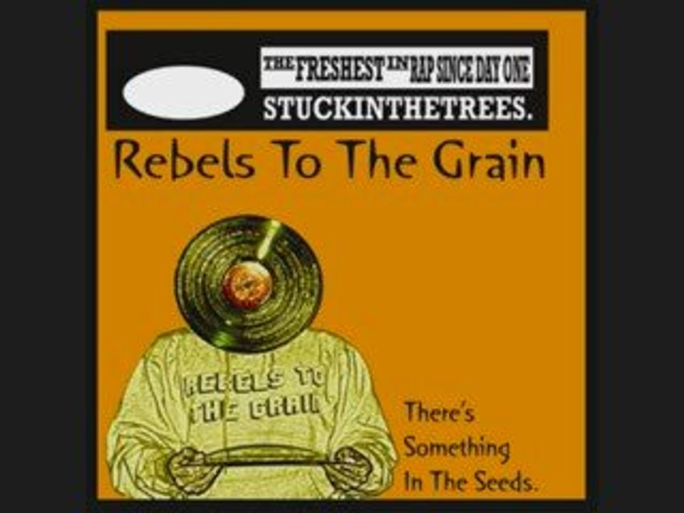 Rebels To The Grain - Its A Setup 