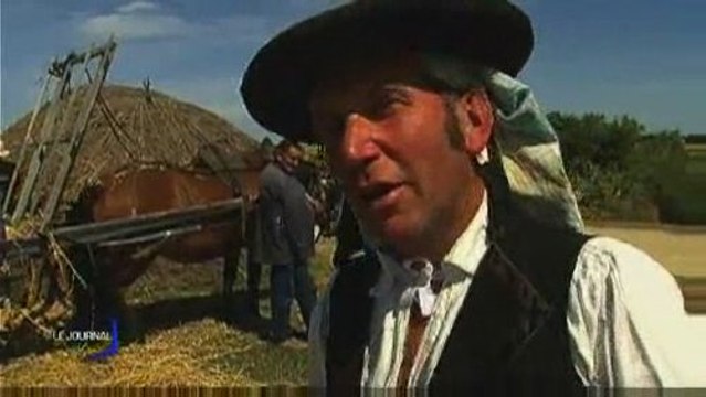 La Fête des battages (Le Daviaud)