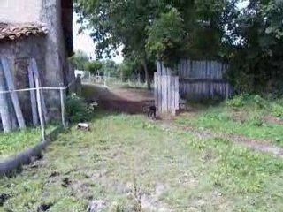 28.7.2009 brandie et bilou