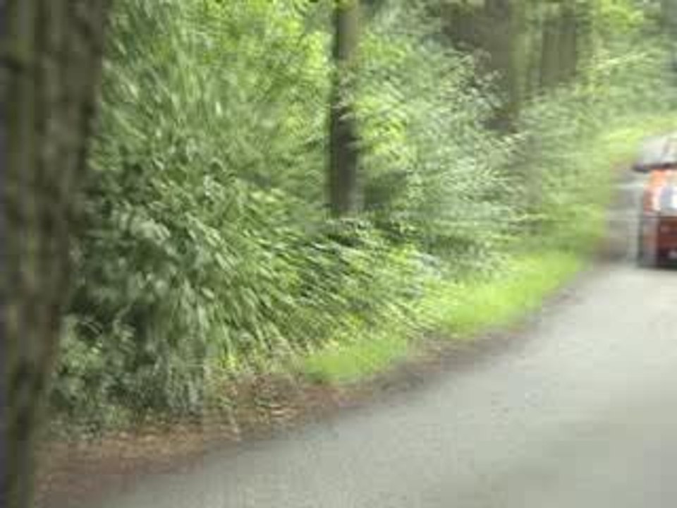 205 GTi Rally
