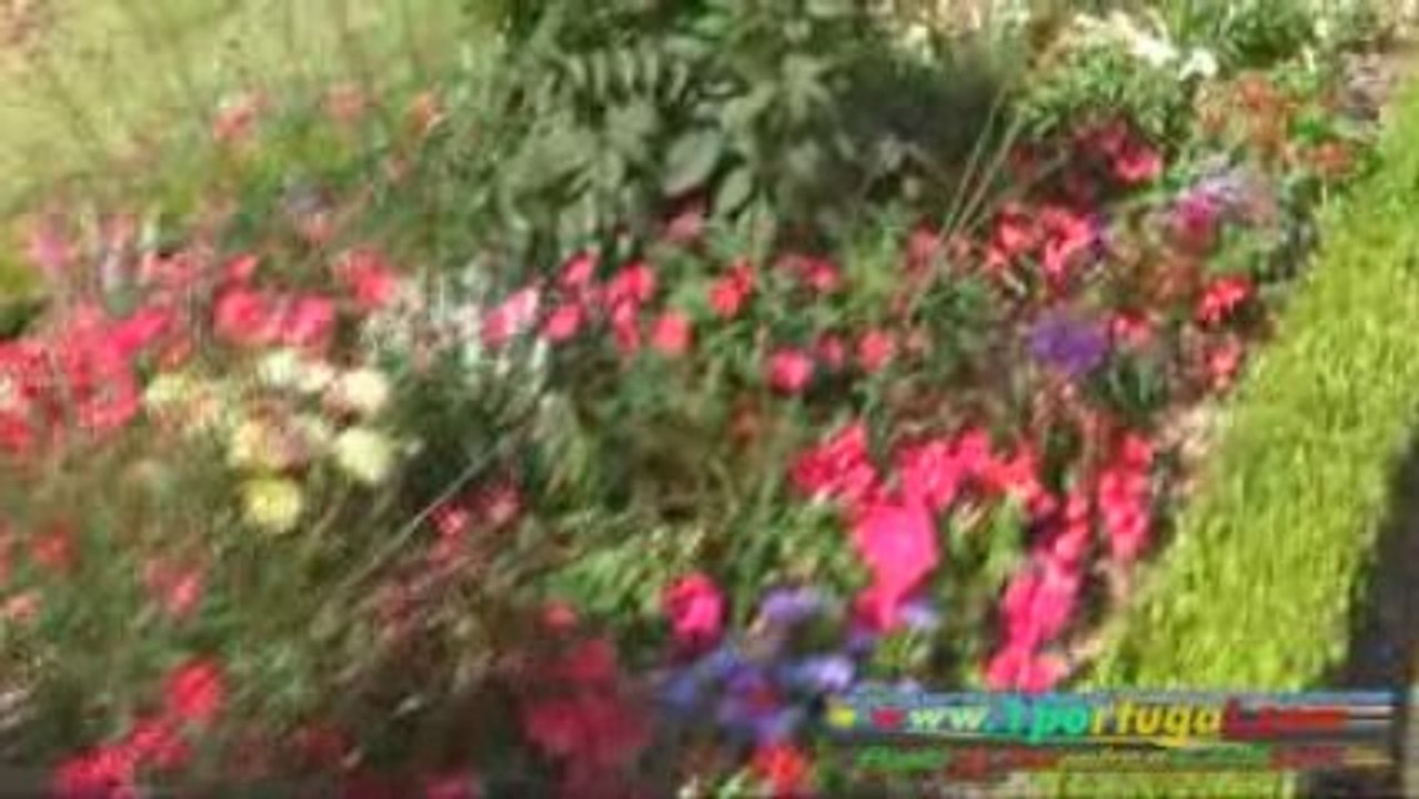 Saint Germain en Laye Yvelines France - 2009 - 1