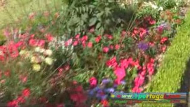 Saint Germain en Laye Yvelines France - 2009 - 1