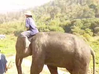 ballade à cru...ouie