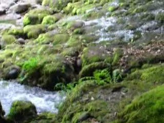 Le Pas de Cère (Cantal)
